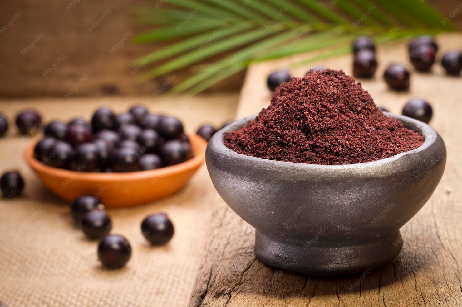 Jamun Freeze Dried Powder