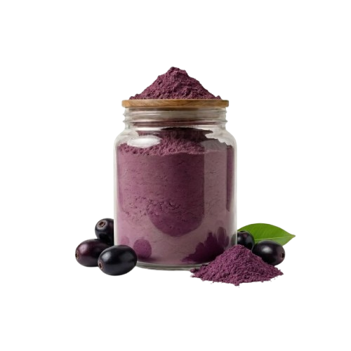 Jamun Vacuum Dried Powder